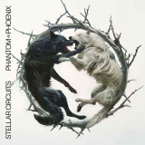 Stellar Circuits - Phantom : : Phoenix Vinyl Record Album Art
