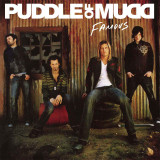Puddle Of Mudd - Famous Vinyl Record Album Art
