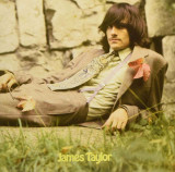 James Taylor - James Taylor Vinyl Record Album Art