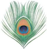 XTC - Apple Venus Volume One Vinyl Record Album Art