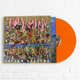 Sufjan Stevens - Javelin Vinyl Record Album Art