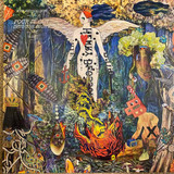 The Revivalists - Pour It Out Into The Night Vinyl Record Album Art