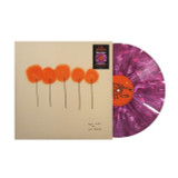 L.S. Dunes - Past Lives Vinyl Record Album Art