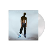 Picture of Stardust Vinyl Record
