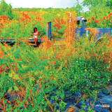 Jhene Aiko - Trip Record Store Day 2026 Vinyl Record