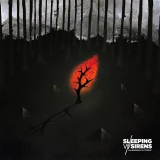 Sleeping With Sirens - An Ending In Itself Vinyl Record Album Art