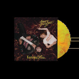 Angus & Julia Stone - Karaoke Bar Vinyl Record Album Art