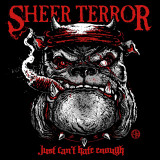 Sheer Terror - Just Can't Hate Enough Vinyl Record Album Art
