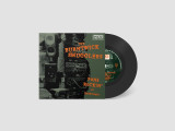 Picture of 7-Punk Rockin' At Ranscombe Vinyl Record