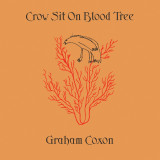 Graham Coxon - Crow Sit On Blood Tree Vinyl Record Album Art