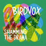 Birdvox - Shamming The Drama Vinyl Record Album Art
