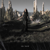Chelsea Wolfe - The Dark Vinyl Record Album Art