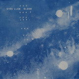 Eyre Llew - Bloom Vinyl Record Album Art