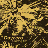 Dayzero - Soaring Vinyl Record Album Art