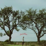 Dylan Gossett - Ramblin' Vinyl Record Album Art