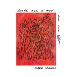 Caleb Nichols - Stone Age Is Now: Poems From Lithic Vinyl Record Album Art