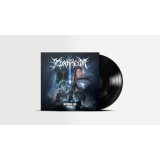 Picture of Descending Into Madness Vinyl Record