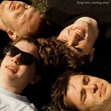 The Royston Club - Lying Here, Wasting Away Vinyl Record Album Art