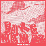 Fake Names - Punk Ruins Vinyl Record Album Art