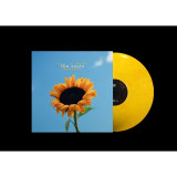 Picture of Joy In Short Moments Vinyl Record