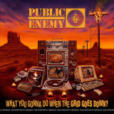 Public Enemy - What You Gonna Do When The Grid Goes Down? Vinyl Record Album Art