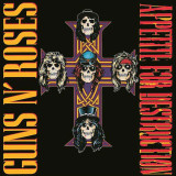 Guns N' Roses - Appetite For Destruction Vinyl Record Album Art