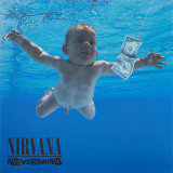 Nirvana - Nevermind Vinyl Record Album Art