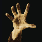 System Of A Down - System Of A Down Vinyl Record Album Art
