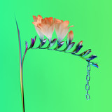 Flume - Skin Companion EP I Vinyl Record Album Art