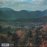 Picture of Innerspeaker Vinyl Record