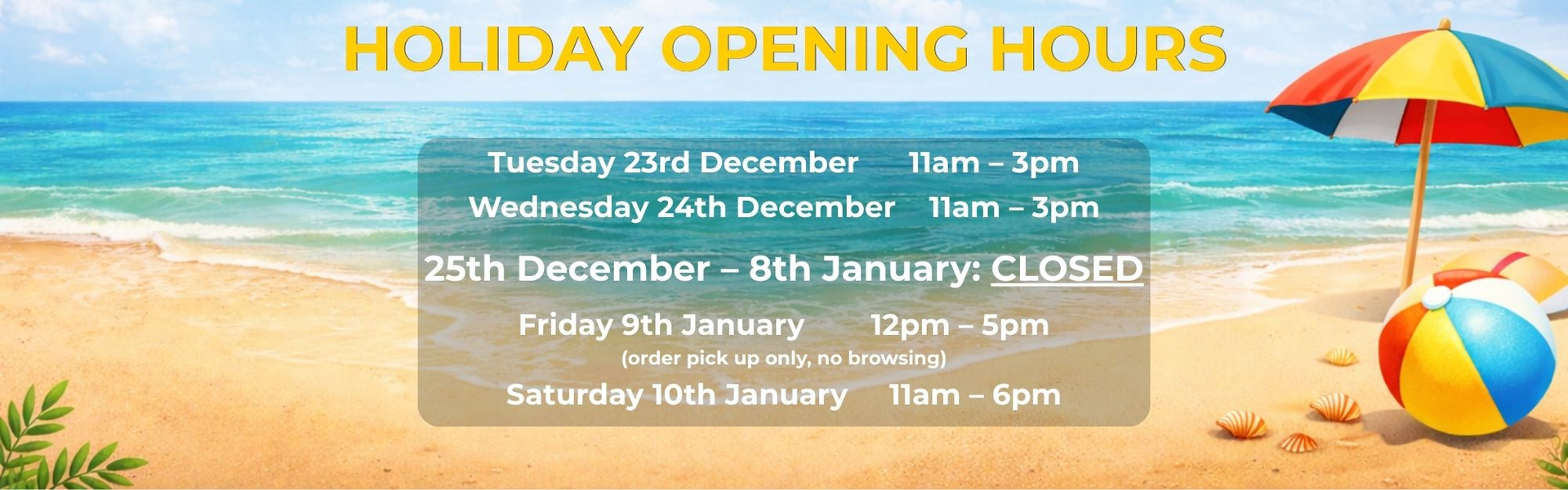 Funky Duck Vinyl Record Store Christmas Holiday Opening Hours Banner