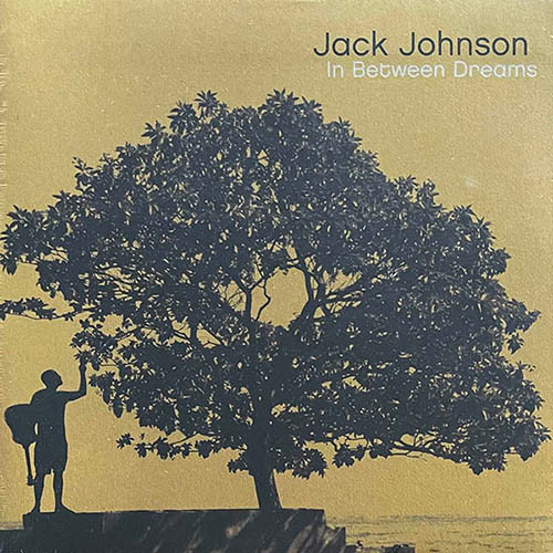 Jack Johnson - In Between Dreams Vinyl Record Album Art