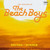 The Beach Boys - Sounds Of Summer (The Very Best Of) Vinyl Record Album Art The Beach Boys - Sounds Of Summer (The Very Best Of) Vinyl Record Album Art