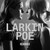 Larkin Poe - Reskinned Vinyl Record Album Art