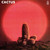 Cactus - Cactus Vinyl Record Album Art Cactus - Cactus Vinyl Record Album Art