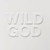Nick Cave & The Bad Seeds - Wild God Vinyl Record Album Art Nick Cave & The Bad Seeds - Wild God Vinyl Record Album Art