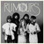 Fleetwood Mac - Rumours Live Vinyl Record Album Art Fleetwood Mac - Rumours Live Vinyl Record Album Art