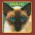 Blink-182 - Cheshire Cat Vinyl Record Album Art Blink-182 - Cheshire Cat Vinyl Record Album Art