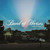 Band Of Horses - Things Are Great Vinyl Record Album Art