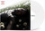 D4vd - WITHERED Vinyl Record Album Art D4vd - WITHERED Vinyl Record Album Art