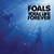 Foals - Total Life Forever Vinyl Record Album Art Foals - Total Life Forever Vinyl Record Album Art