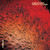 Corella - A Beautiful World To Lose Vinyl Record Album Art Corella - A Beautiful World To Lose Vinyl Record Album Art