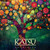 Katsu - Awakening Vinyl Record Album Art Katsu - Awakening Vinyl Record Album Art