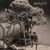 Howling Bells - Howling Bells: 20th Anniversary Edition Vinyl Record Album Art