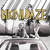 Mo - Bikini Daze Vinyl Record Album Art
