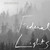 Federal Lights - We Were Found in the Fog Vinyl Record Album Art