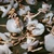 Jigitz - 50 Ballerinas Vinyl Record Album Art Jigitz - 50 Ballerinas Vinyl Record Album Art