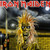 Iron Maiden - Iron Maiden Vinyl Record Album Art Iron Maiden - Iron Maiden Vinyl Record Album Art