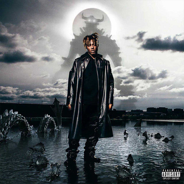 Juice WRLD - Fighting Demons Vinyl Record Album Art