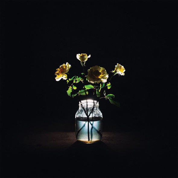 Billy Strings - Renewal Vinyl Record Album Art